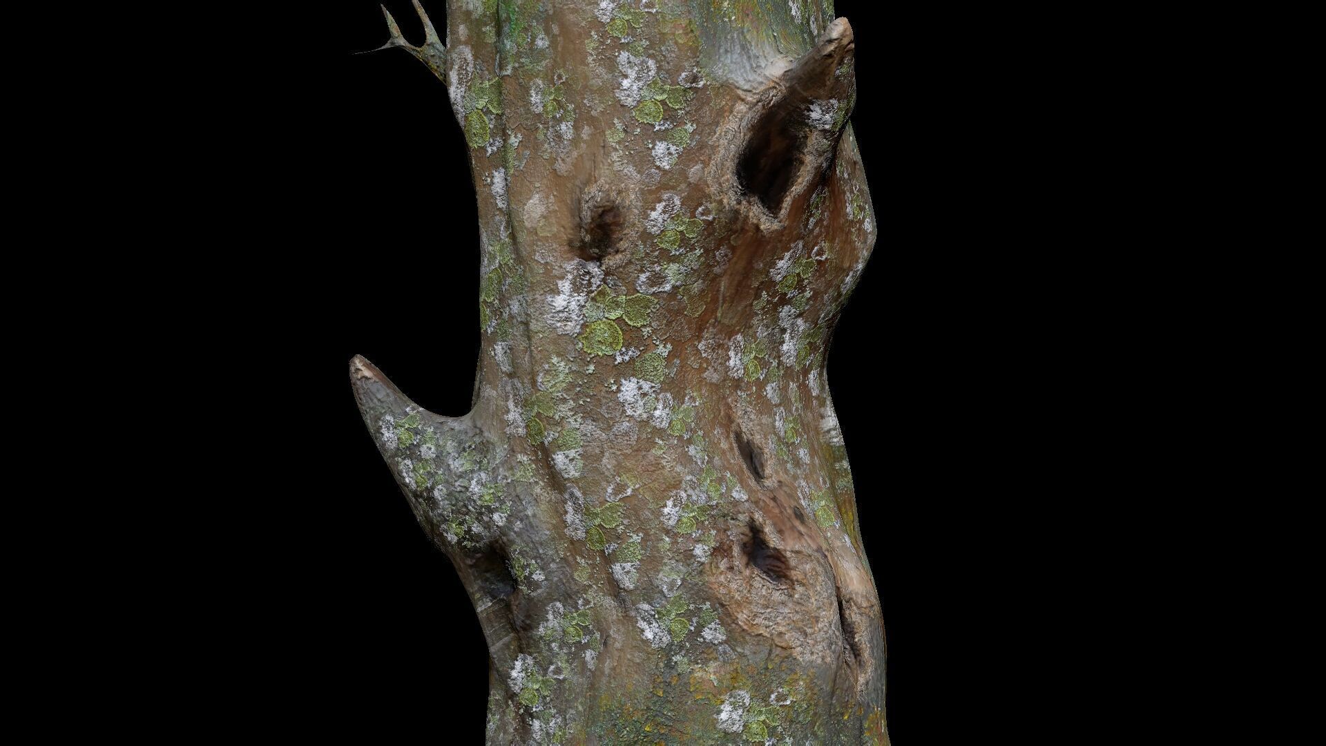 Dead Moss Tree Stump V2 Low-poly 3D model_3