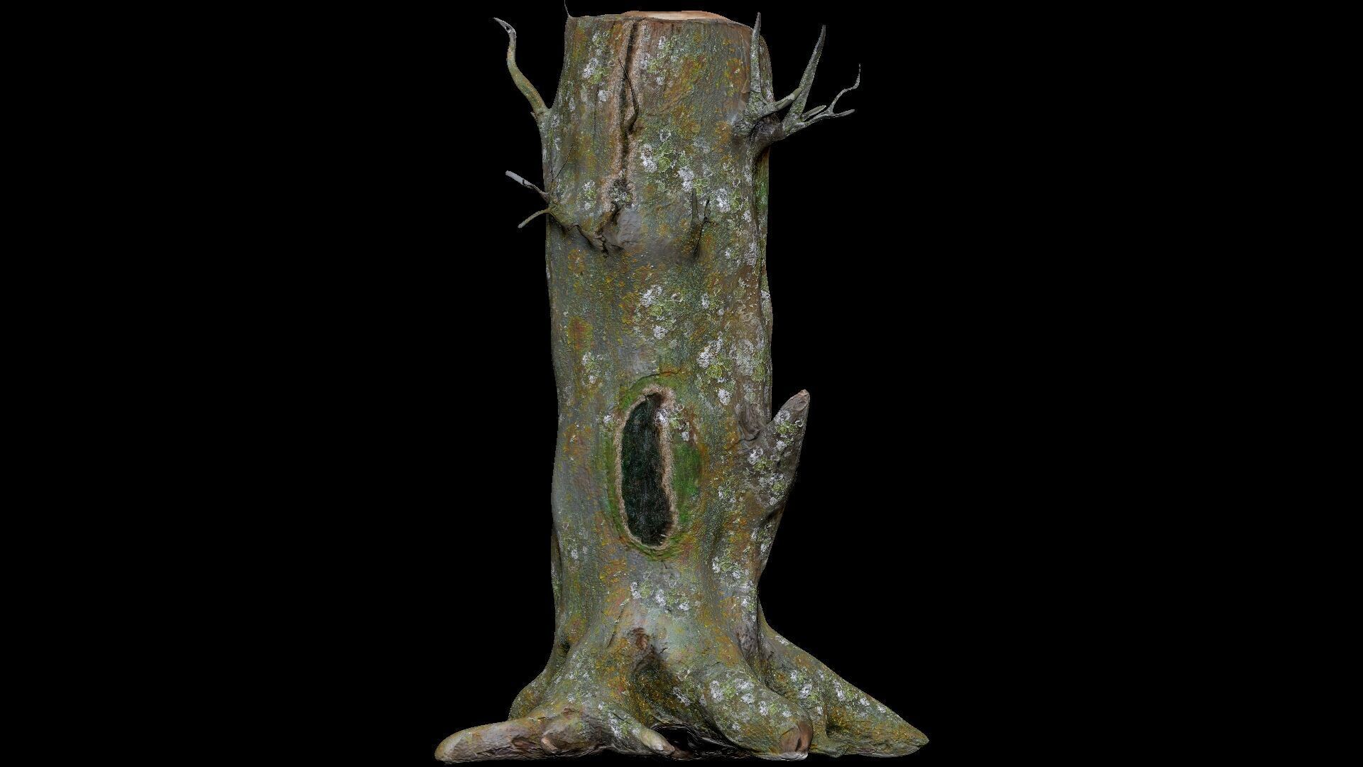 Dead Moss Tree Stump V2 Low-poly 3D model_5