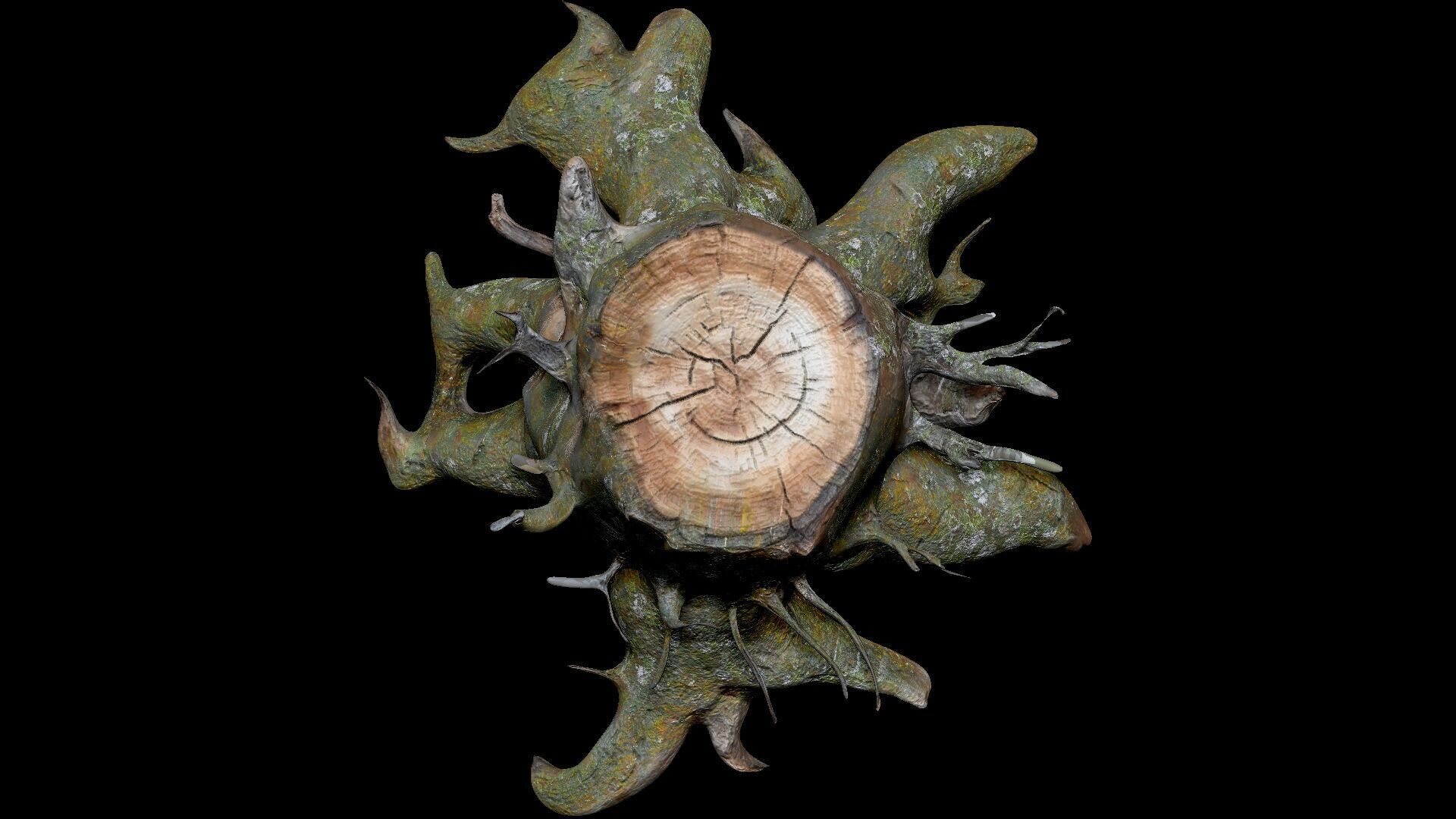 Dead Moss Tree Stump V2 Low-poly 3D model_1