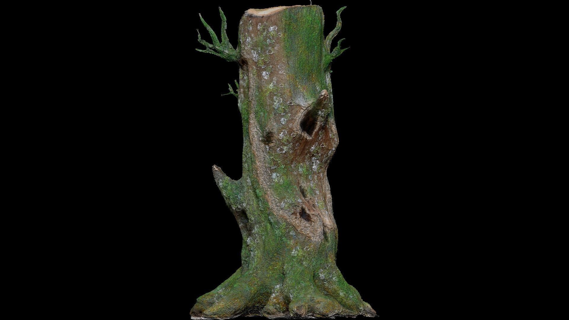 Dead Moss Tree Stump V2 Low-poly 3D model_6