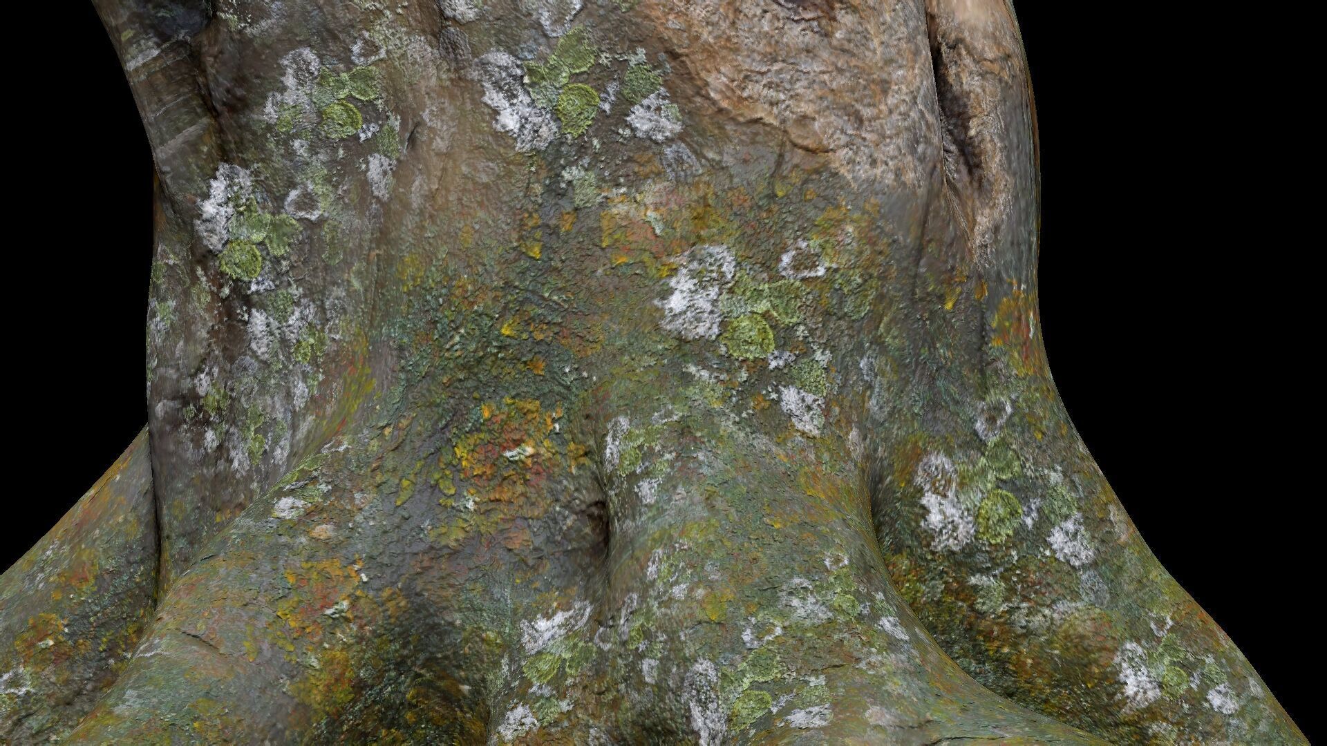 Dead Moss Tree Stump V2 Low-poly 3D model_2