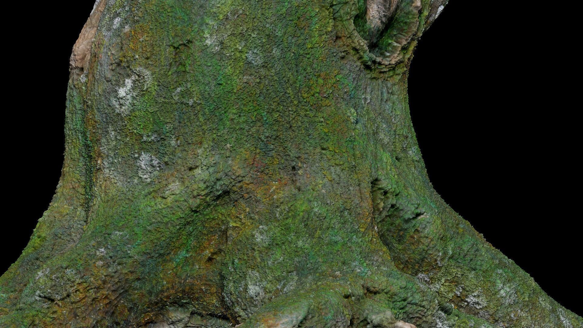 Dead Moss Tree Stump V2 Low-poly 3D model_8