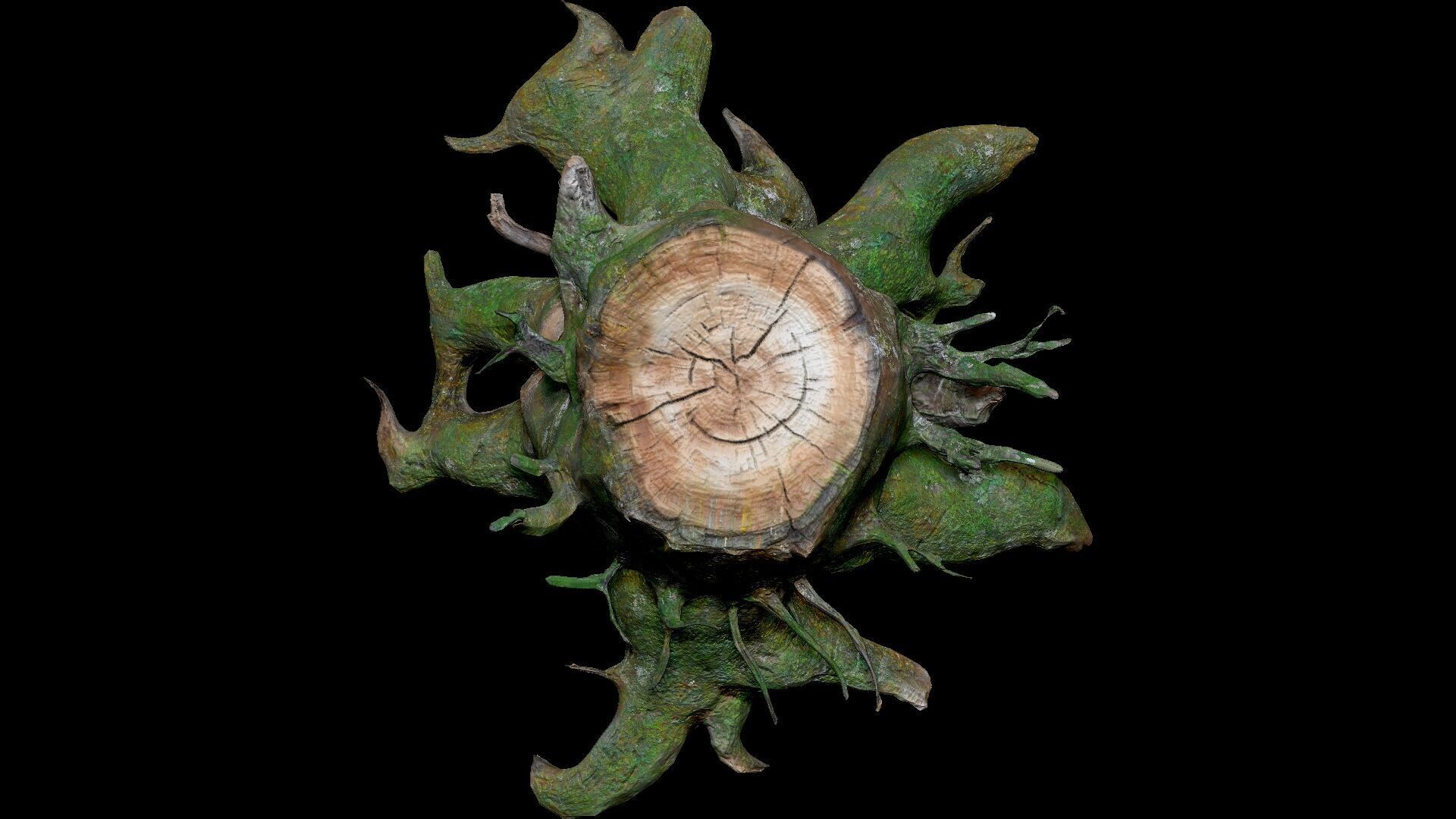 Dead Moss Tree Stump V2 Low-poly 3D model_7