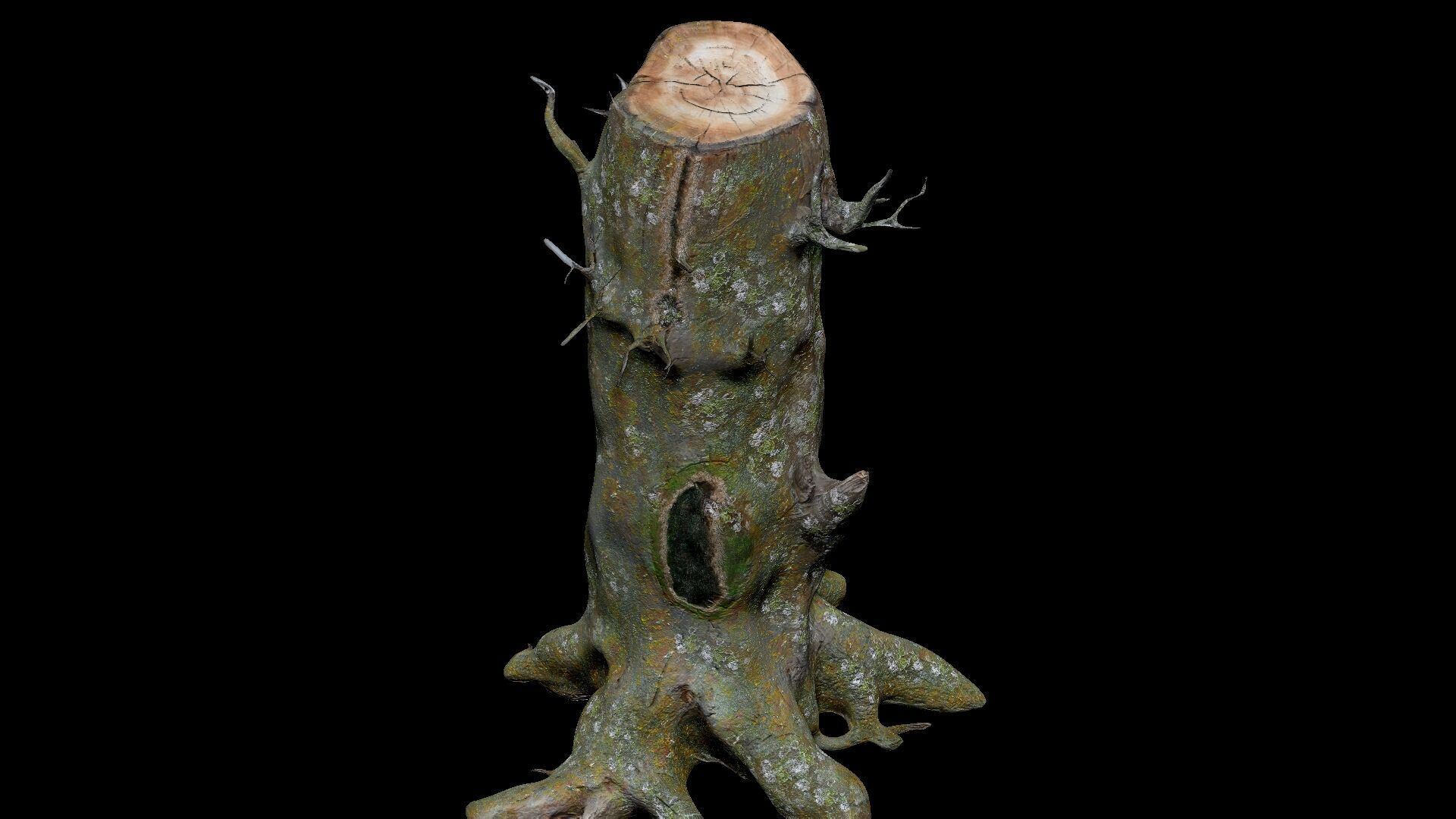 Dead Moss Tree Stump V2 Low-poly 3D model_4