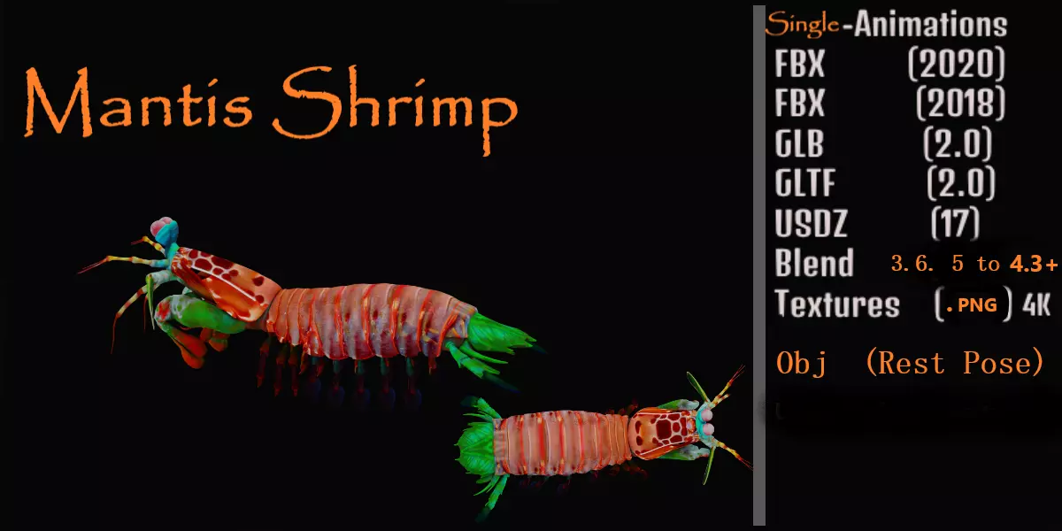 Mantis Shrimp Low-poly 3D model