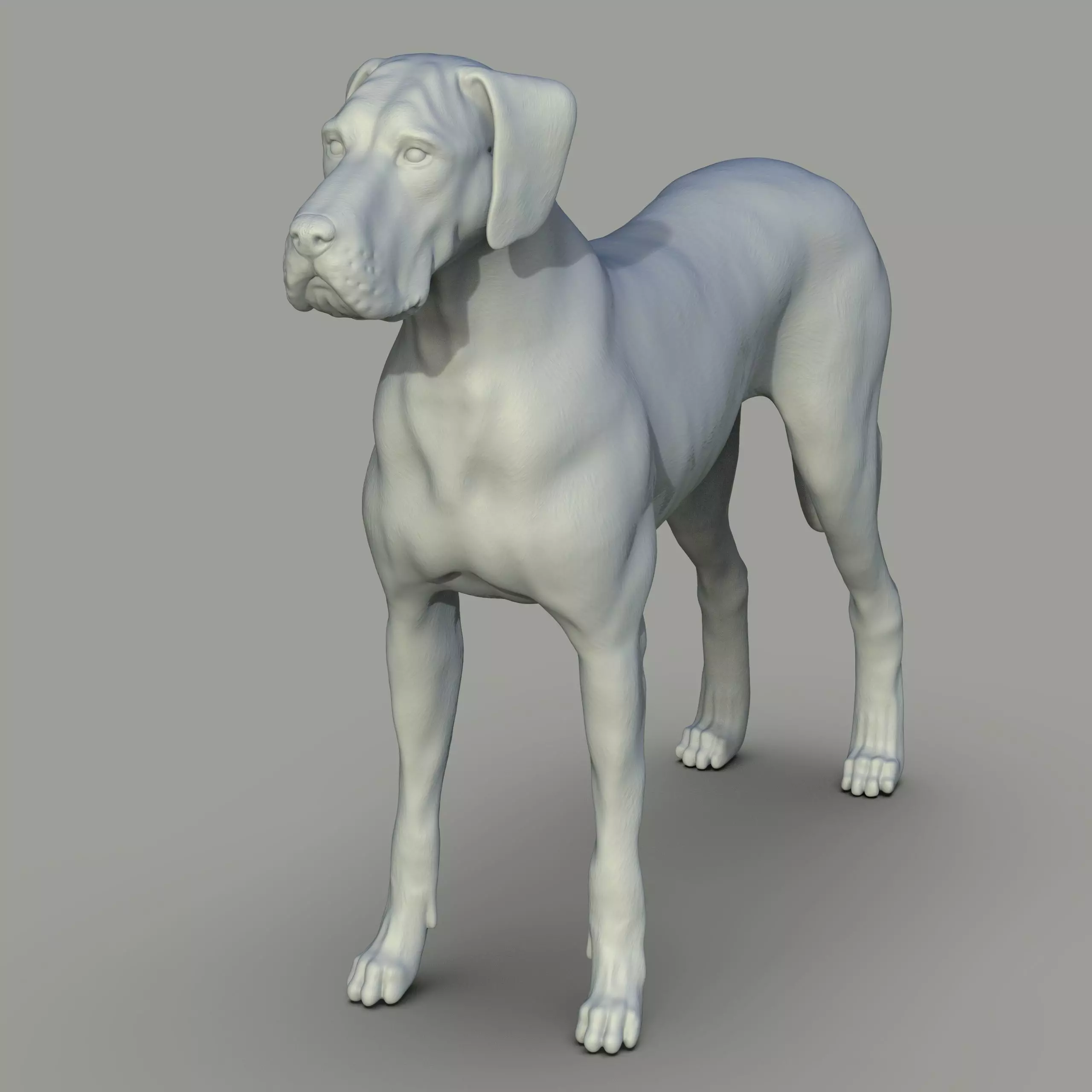 Gran danes Perro 3D print model_0