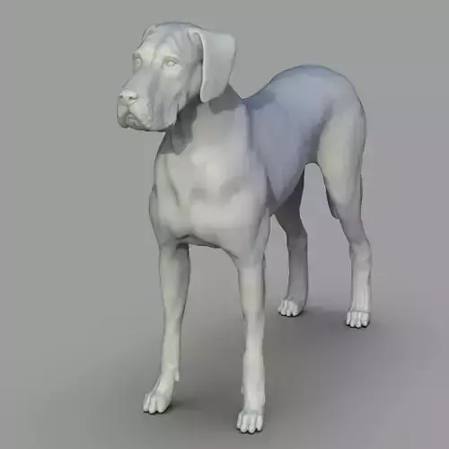 Gran danes Perro 3D print model