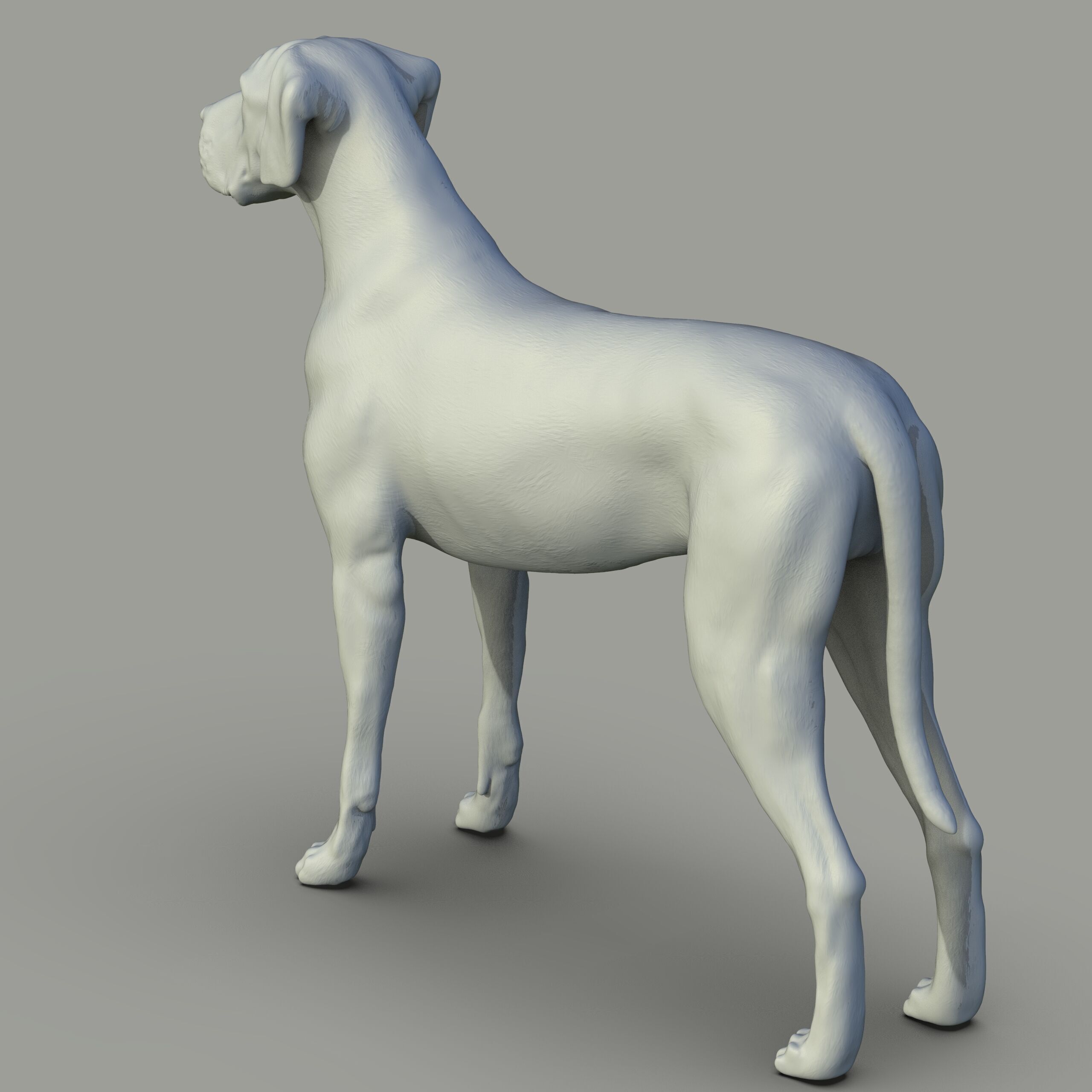 Gran danes Perro 3D print model_1