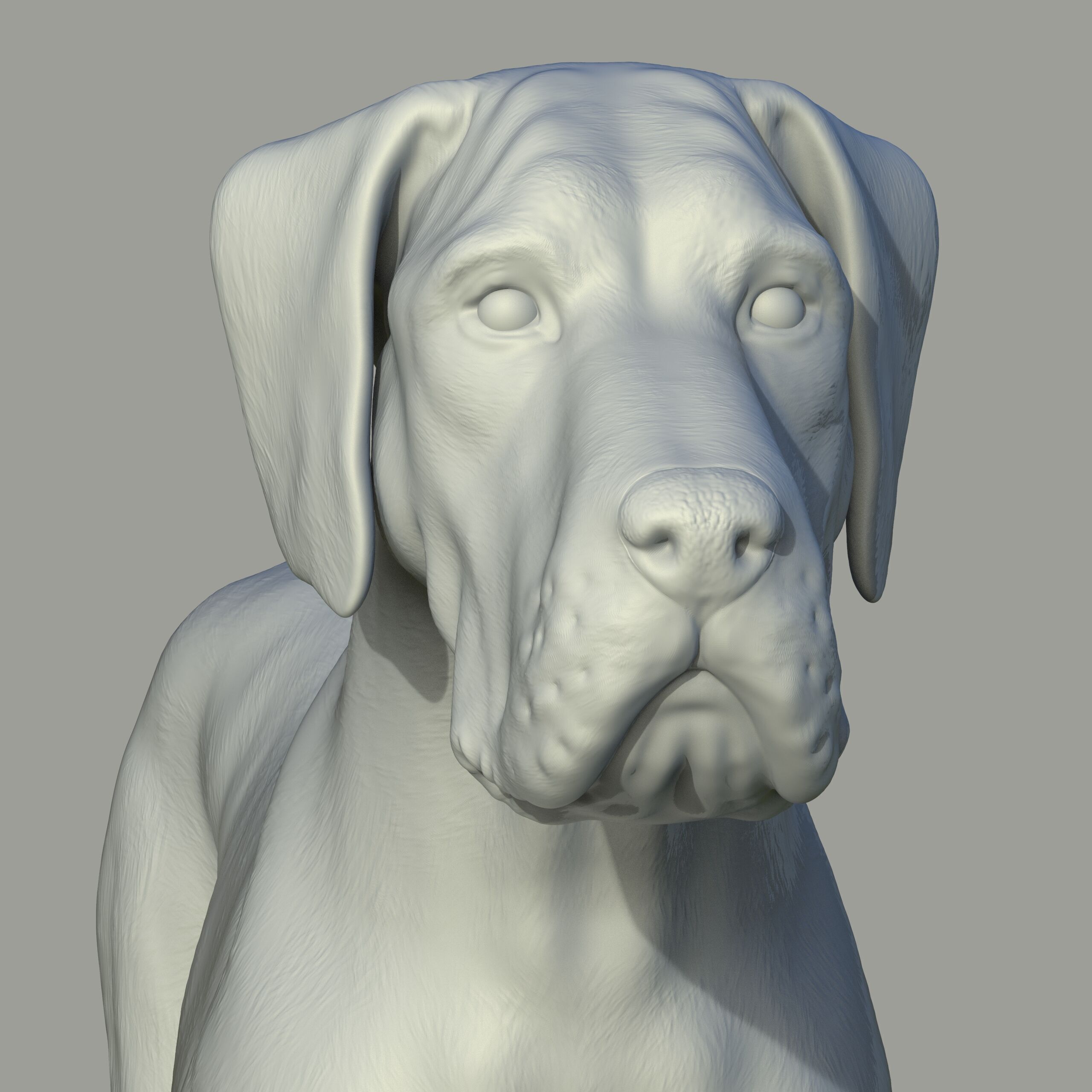 Gran danes Perro 3D print model_3