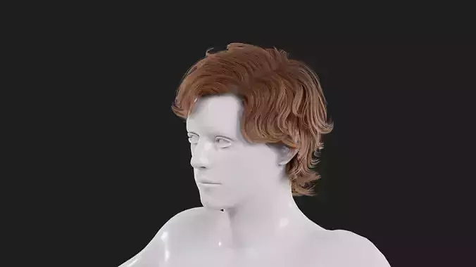 Realistic Male Hair Low-poly 3D model Low-poly 3D model