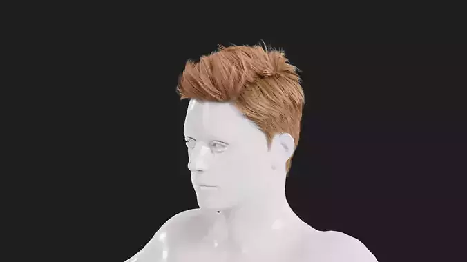 Realistic Male Hair Low-poly 3D model