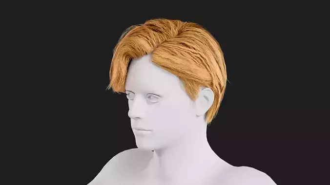 Realistic Male Hair Low-poly 3D model