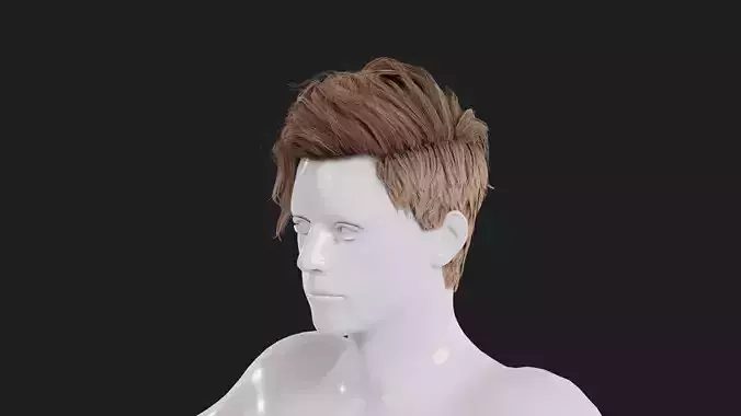 Realistic Male Hair Low-poly 3D model