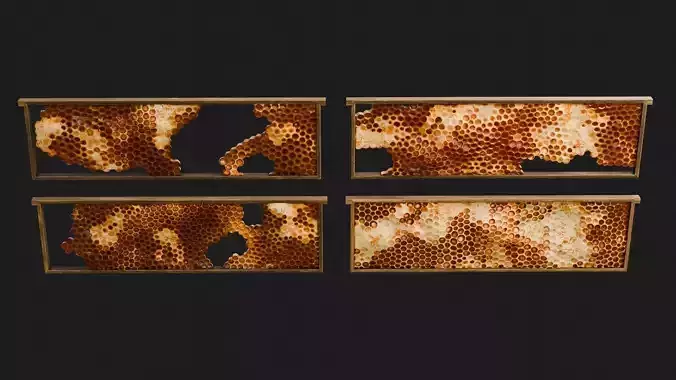 Honeycomb Frames 3D model