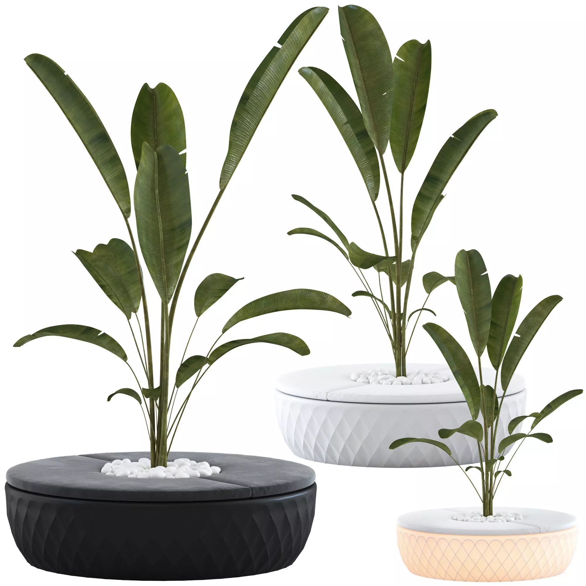 Vondom Vases Island with plant 3D model