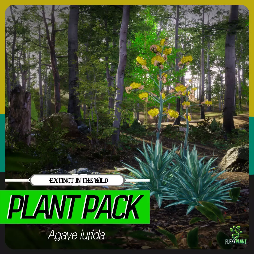 Extinct in the Wild Plant - 4 Agave lurida Tree Low-poly 3D model