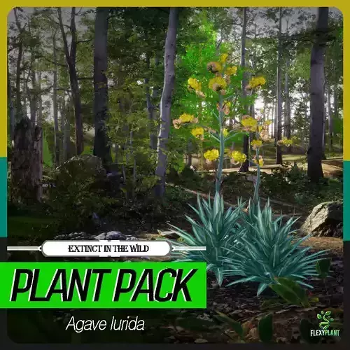 Extinct in the Wild Plant - 4 Agave lurida Tree Low-poly 3D model