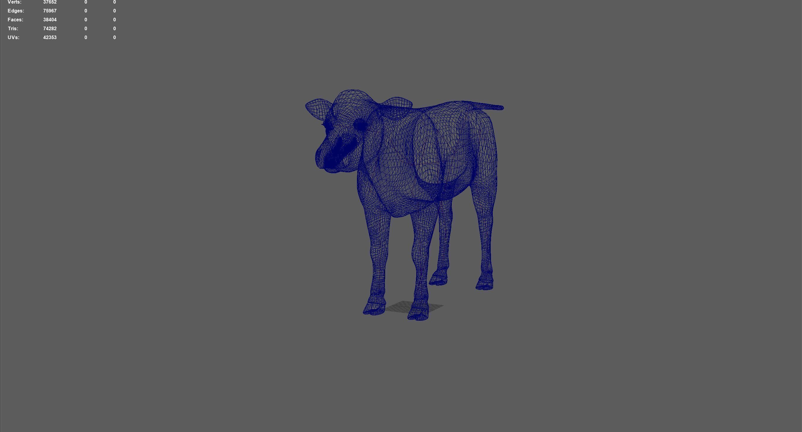 3D animal cow   calf    bull maya fbx  3D model_2