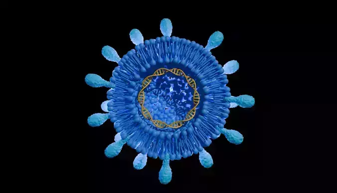 Circular DNA cDNA Contained Virus 3D model