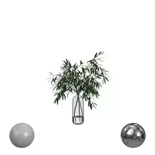 branches in vase
