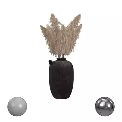 Pampas Grass in Vase