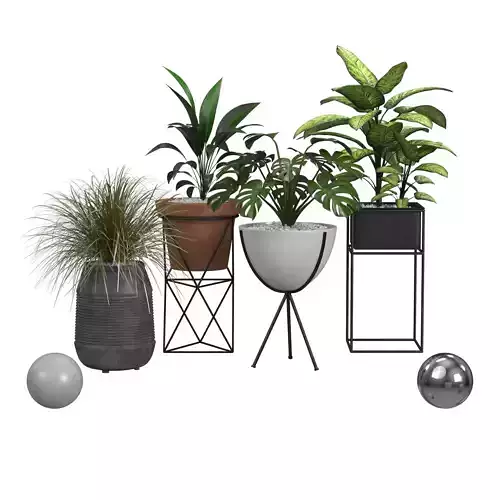 Plants and Planters 3D model Plants and Planters 3D model