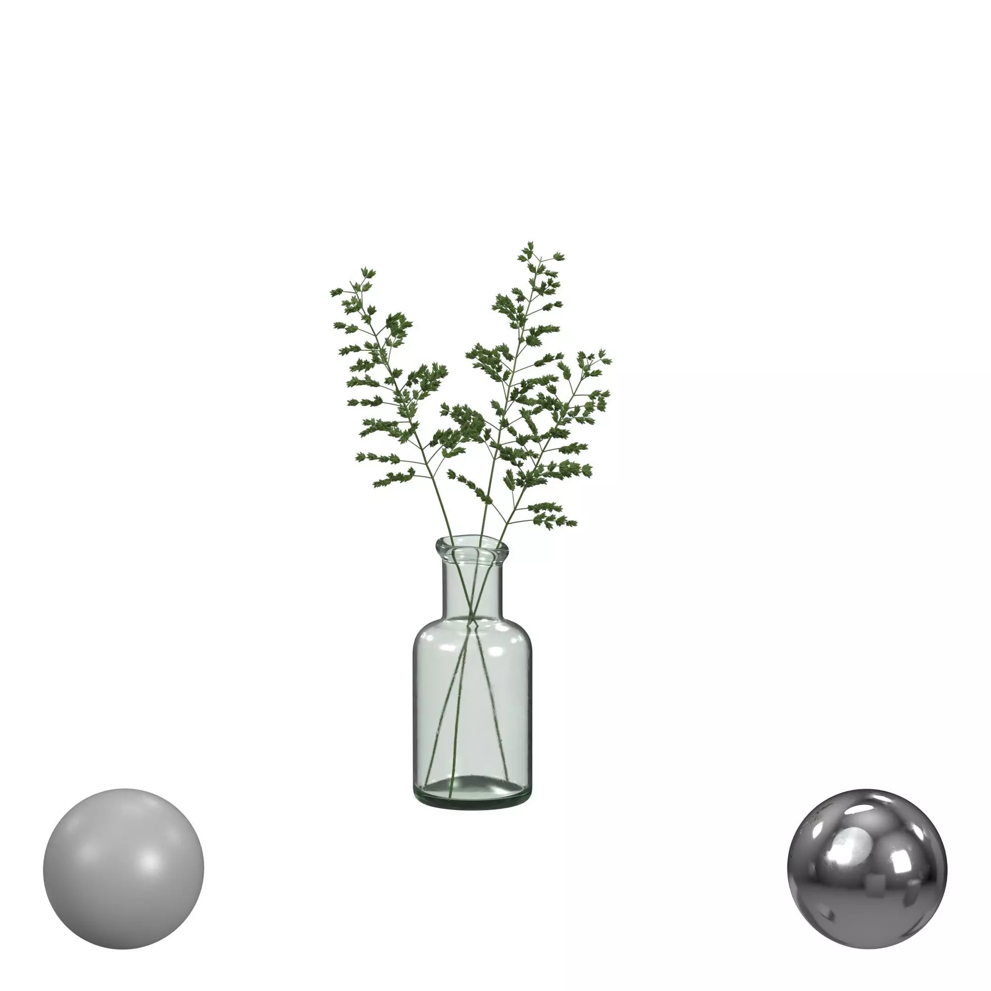 Grass plant 3D model_0