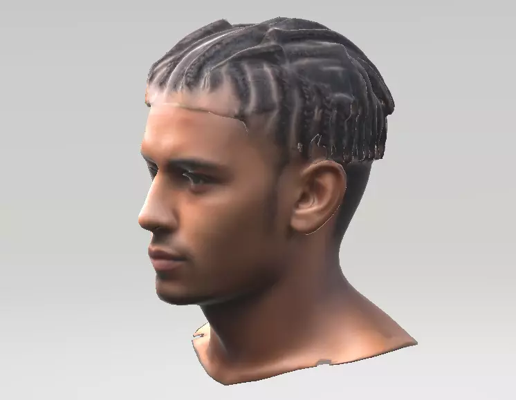 Cornrow dreadlock hair braids 3D model