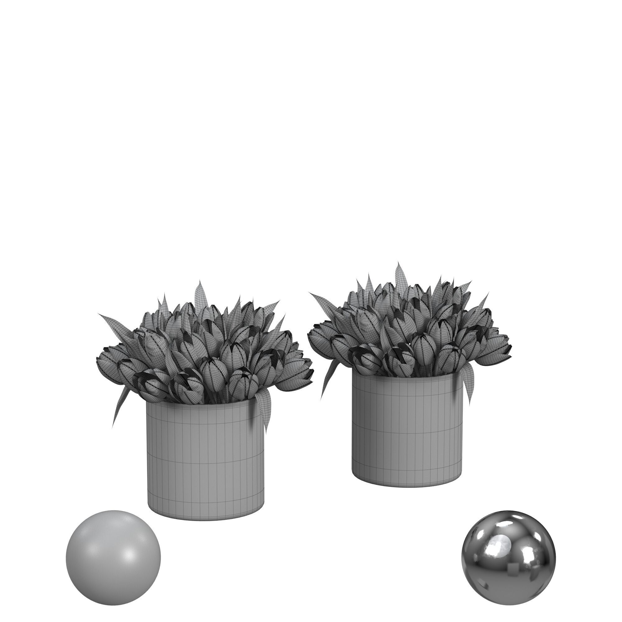 tulips 3D model_3