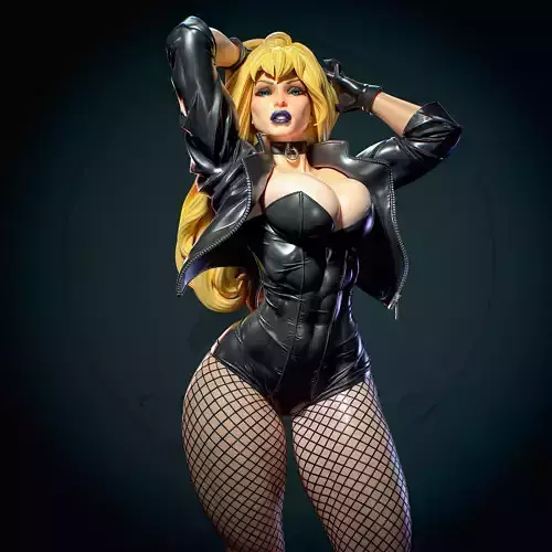 Black Canary with NSFW