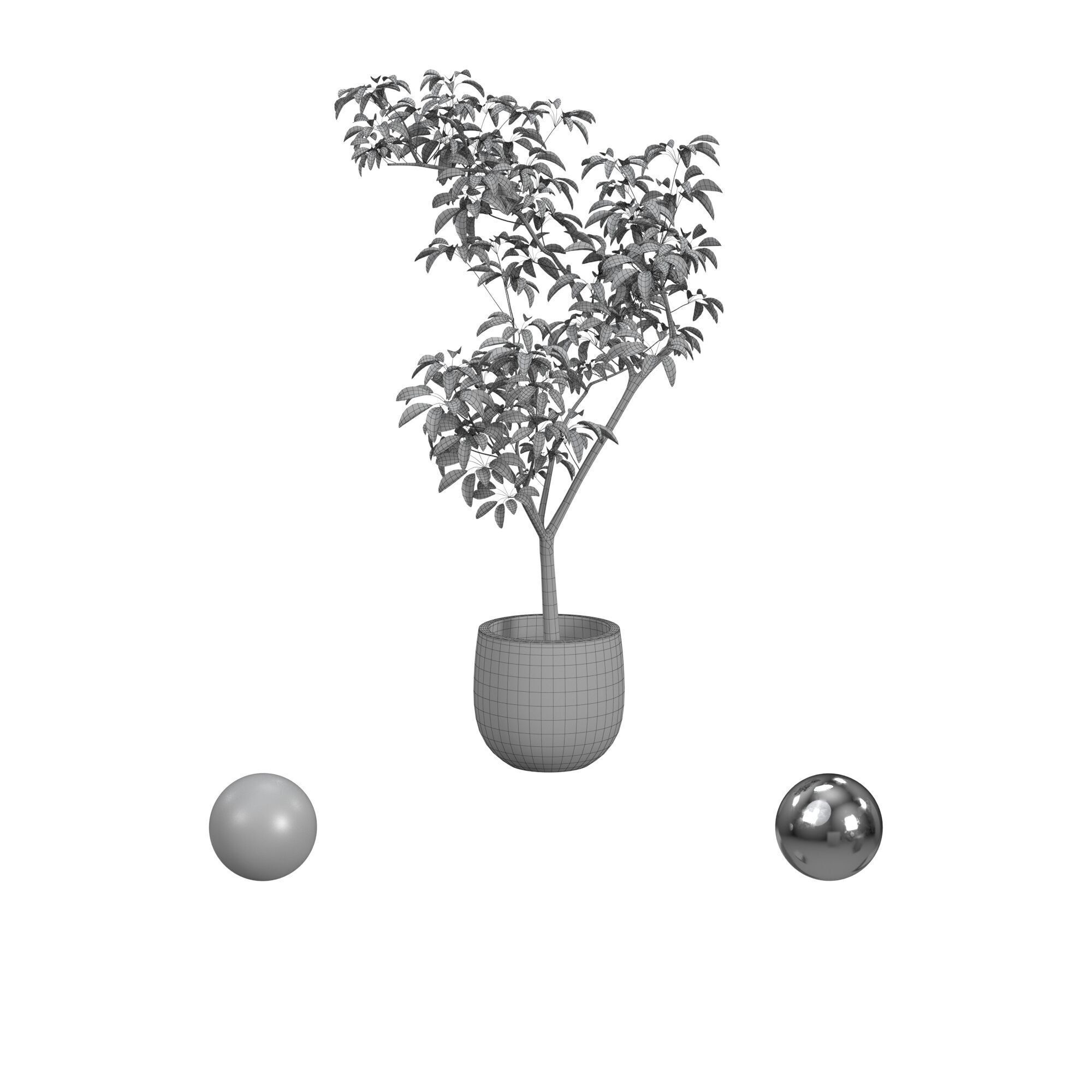 pot tree 3D model_3