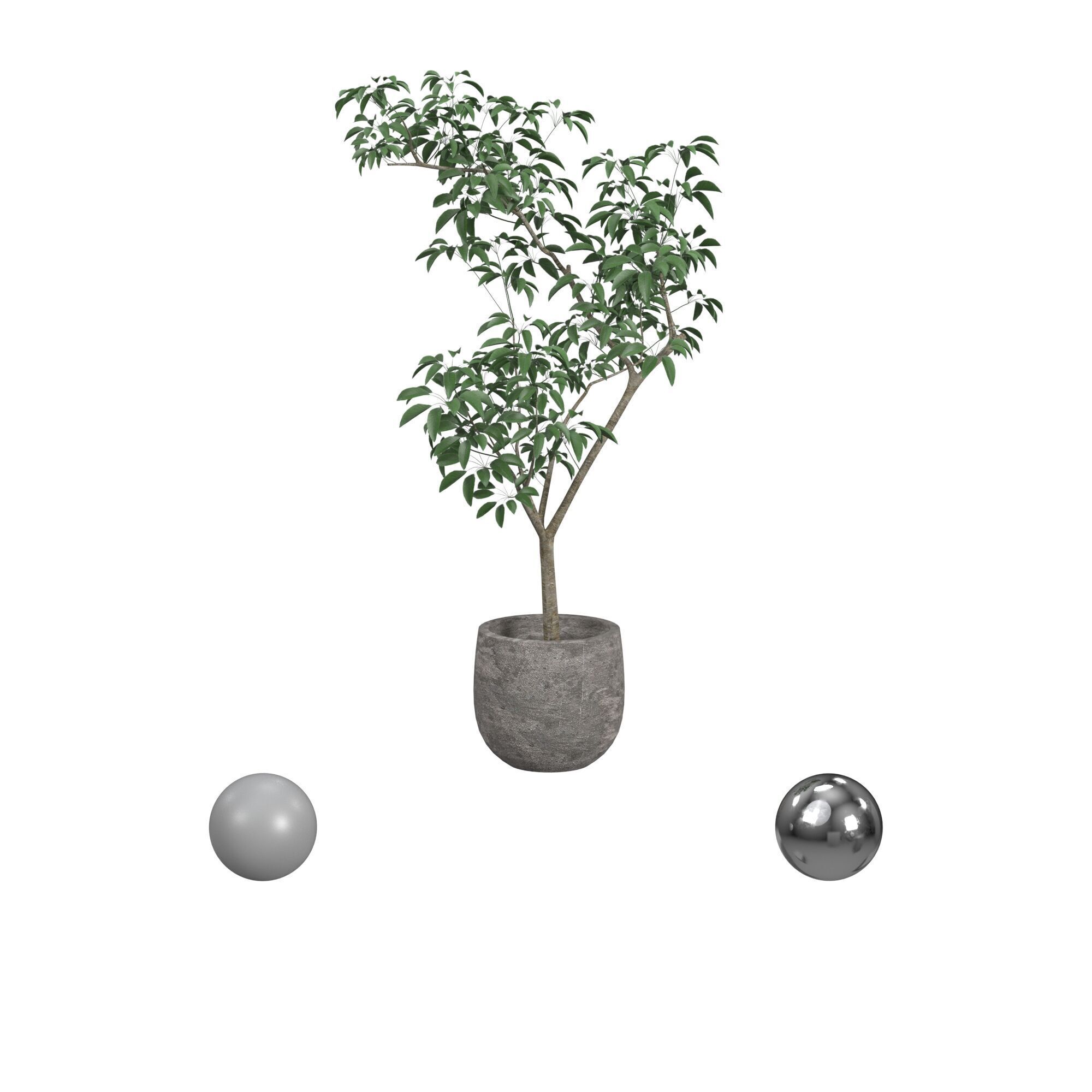 pot tree 3D model_1