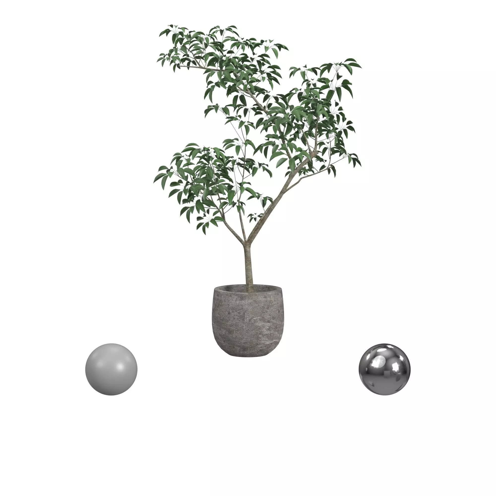 pot tree 3D model_0