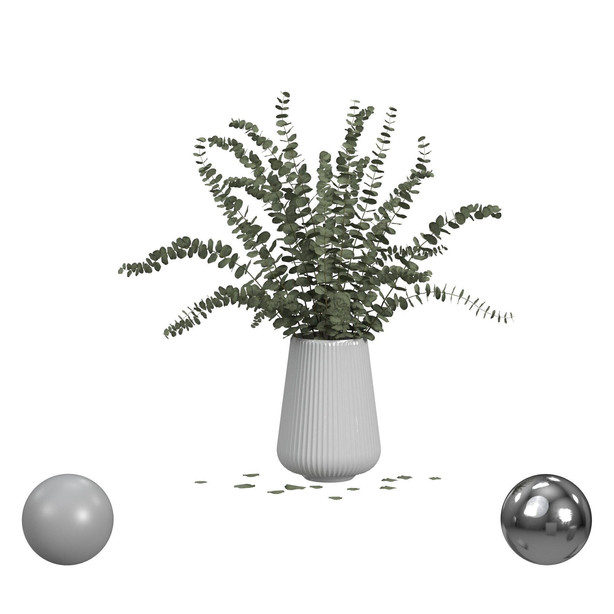 Eucalyptus 3D model_1
