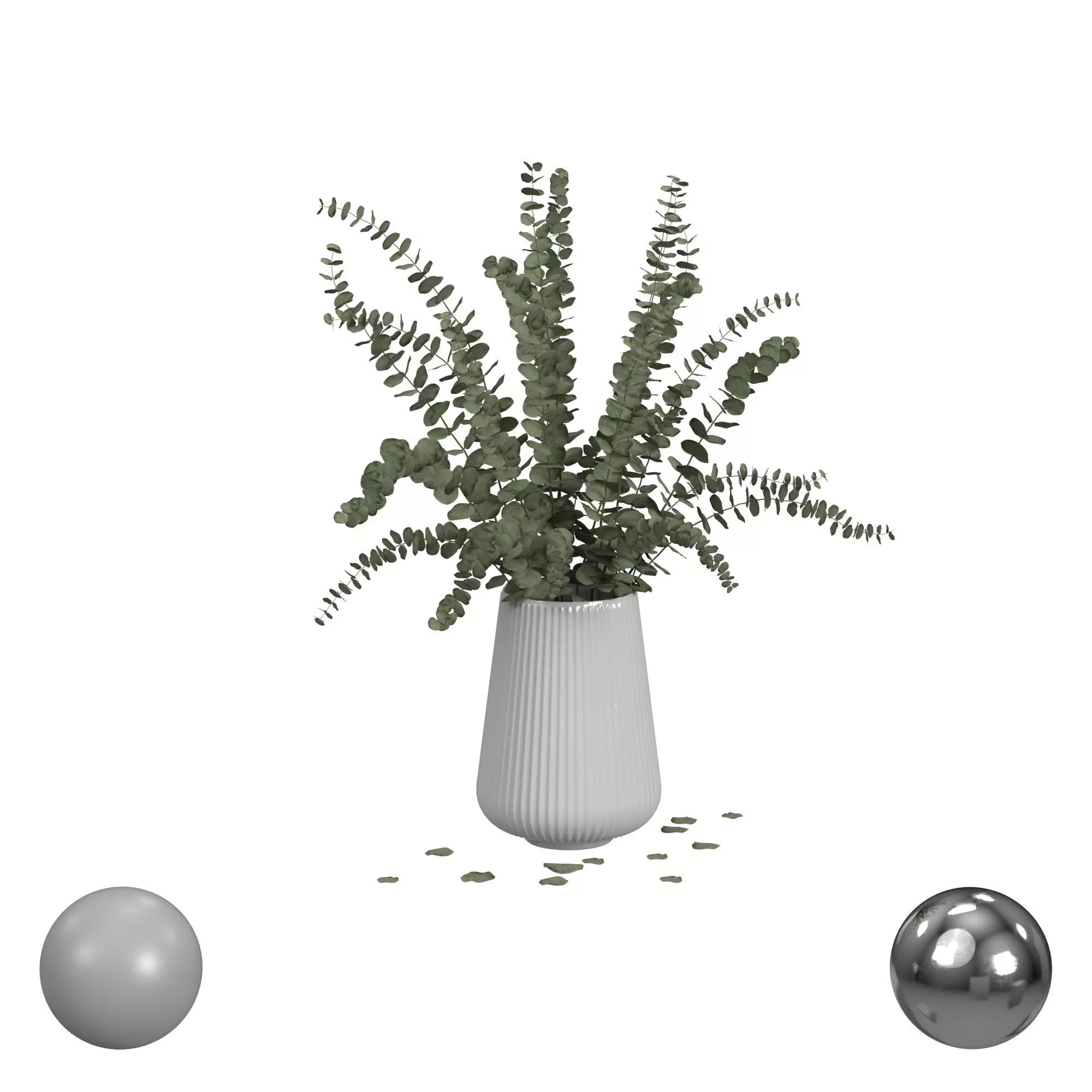 Eucalyptus 3D model_0