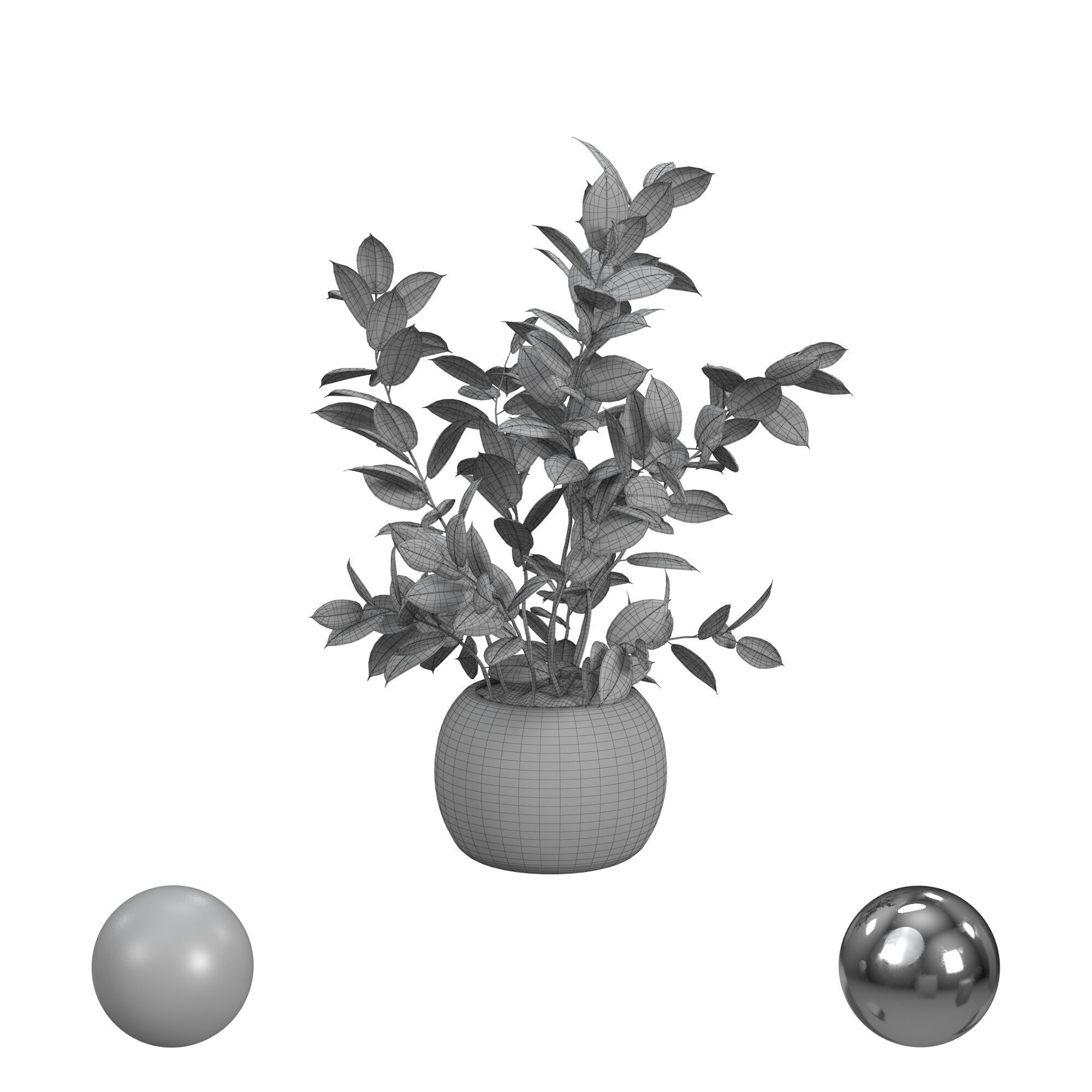 Pot Plant 3D model_3