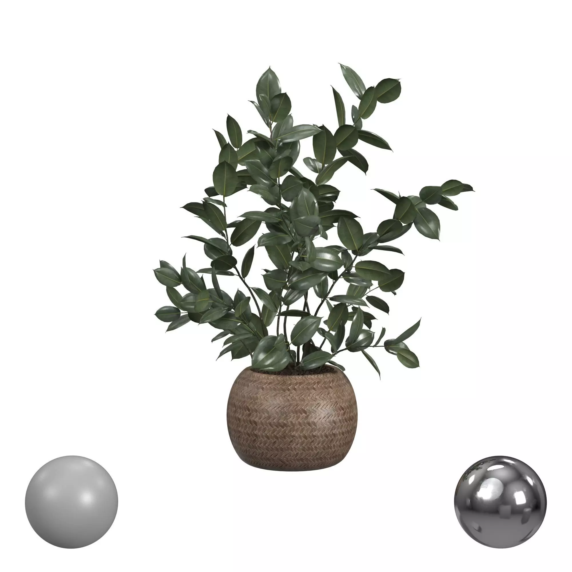 Pot Plant 3D model_0