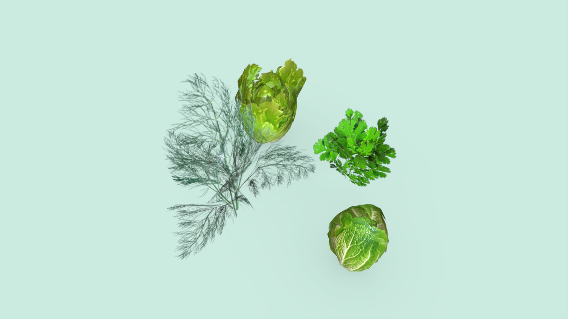 Lettuce Dill and Parsley Plants Low-poly 3D model_3