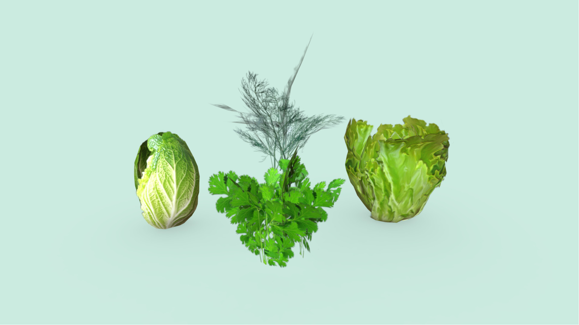 Lettuce Dill and Parsley Plants Low-poly 3D model_5