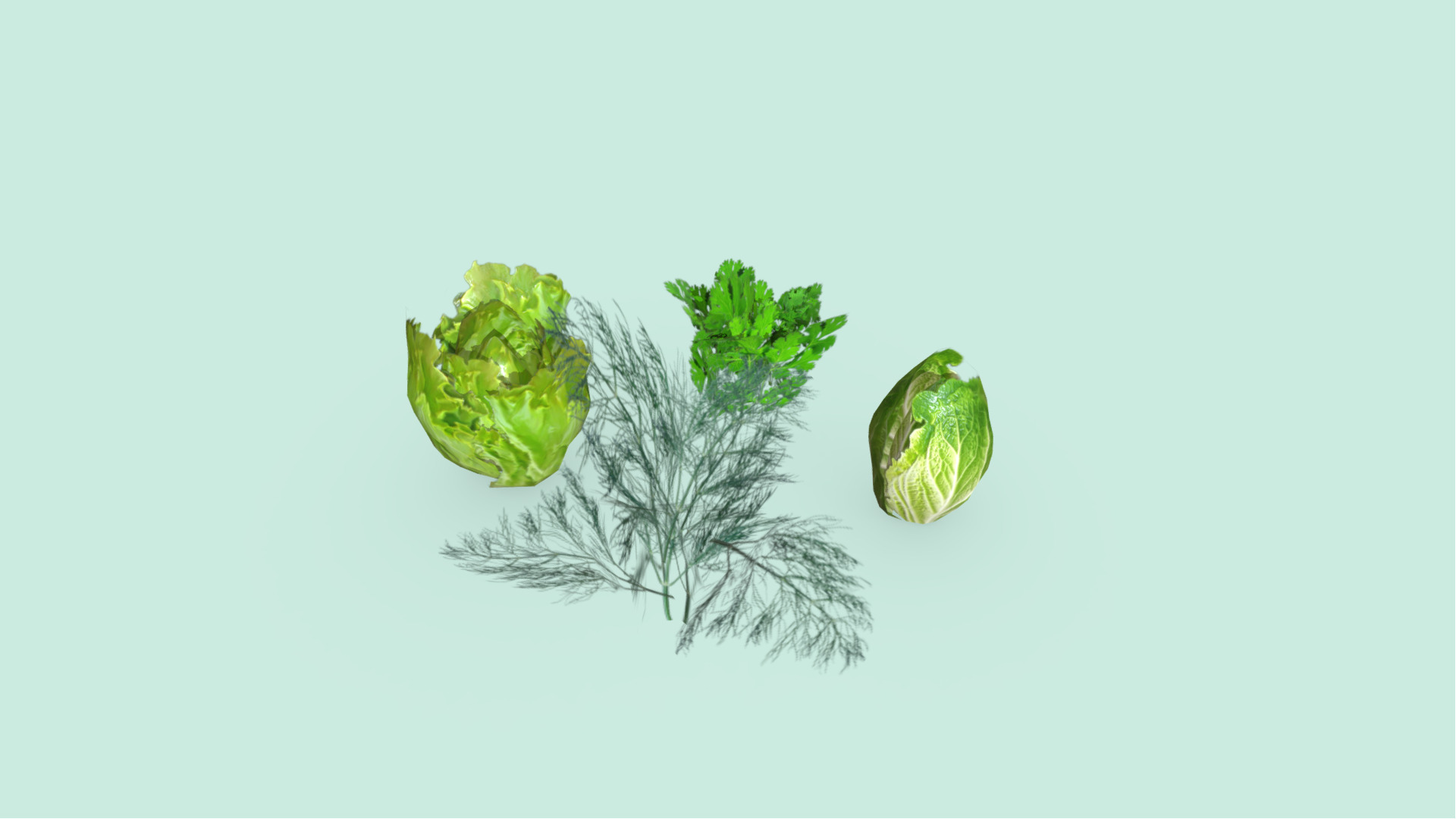 Lettuce Dill and Parsley Plants Low-poly 3D model_2