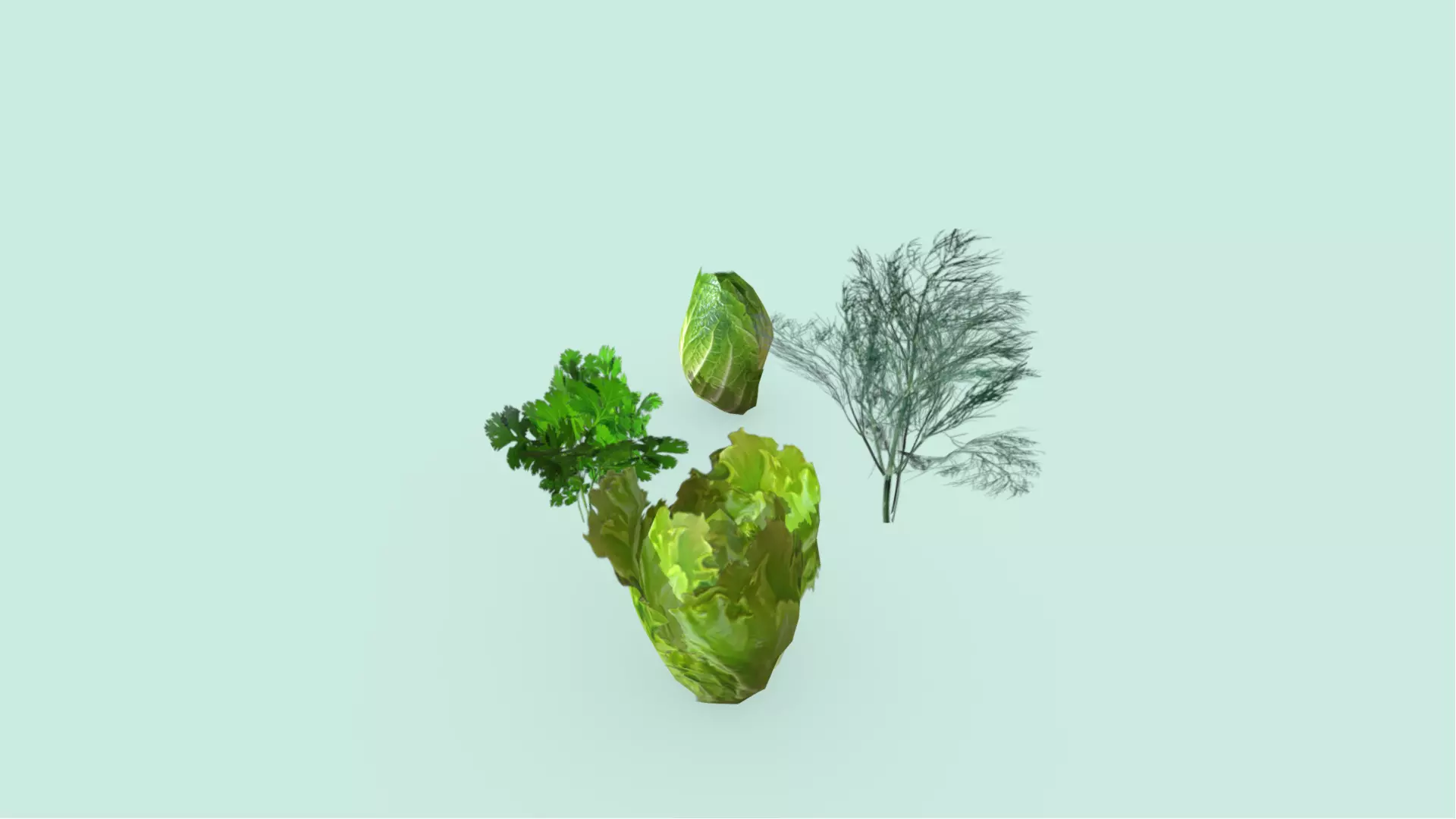 Lettuce Dill and Parsley Plants Low-poly 3D model_0