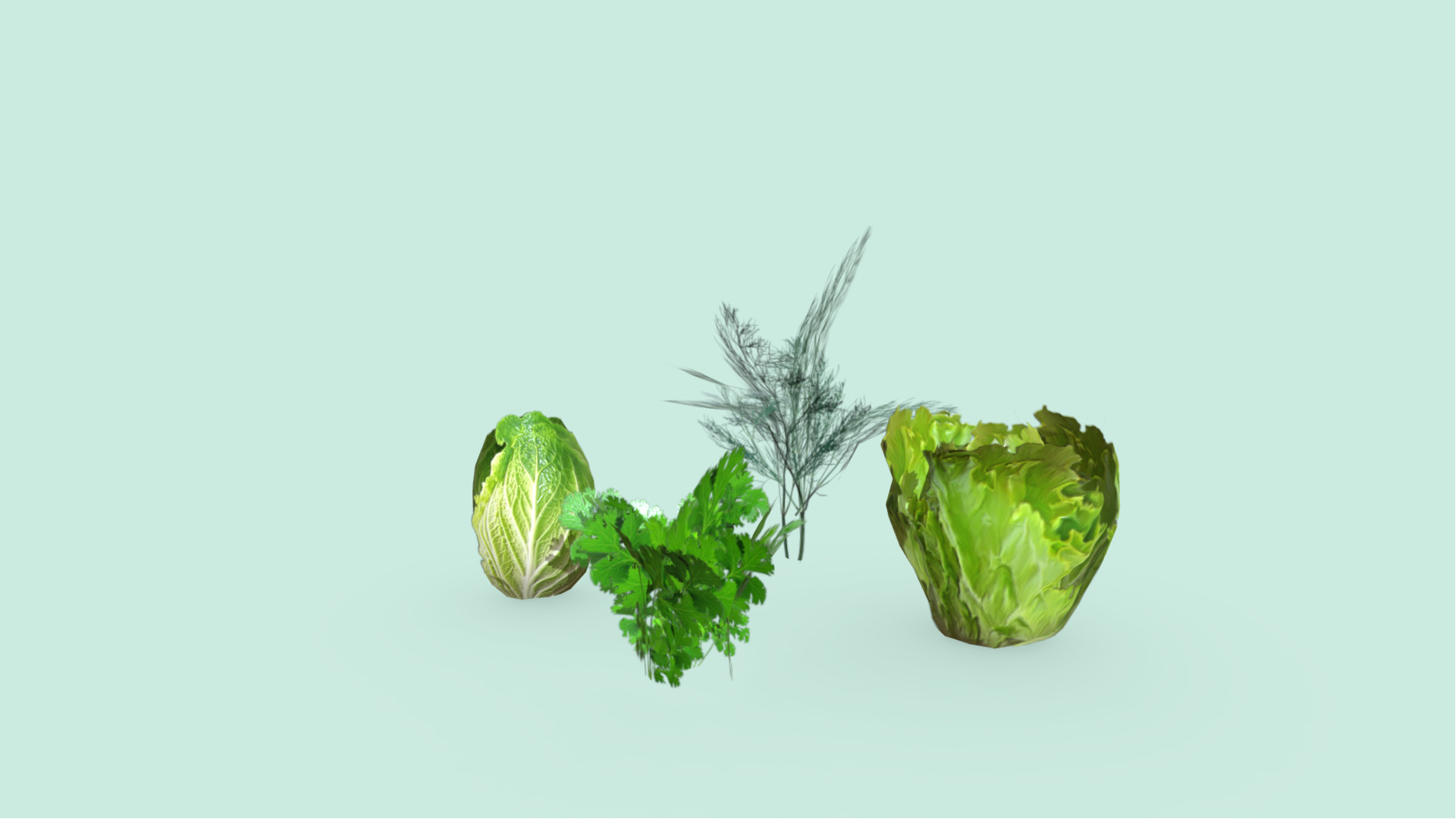 Lettuce Dill and Parsley Plants Low-poly 3D model_1