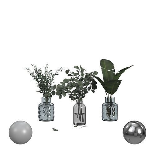 Modern Plants 3D model