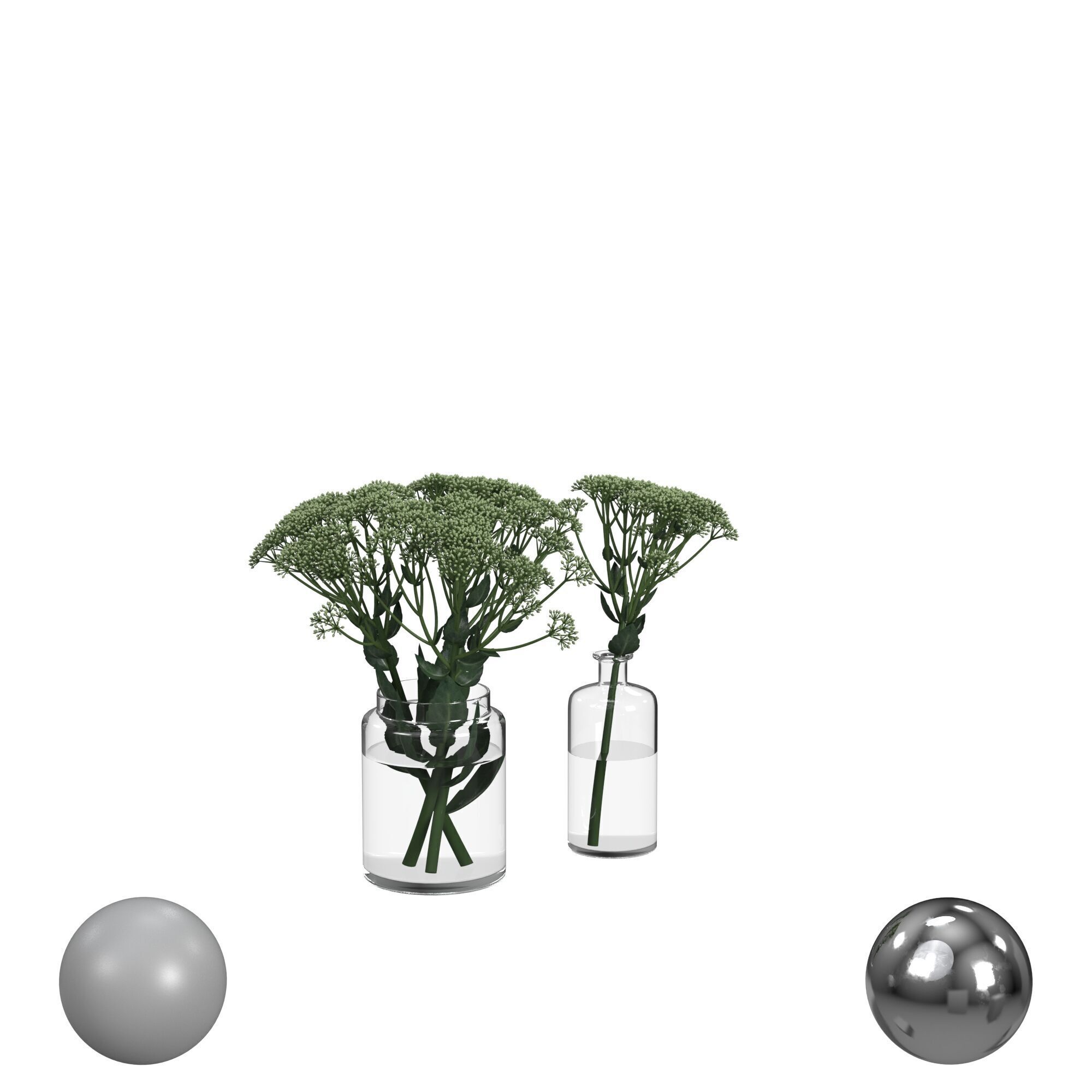 sedum plant 3D model_1