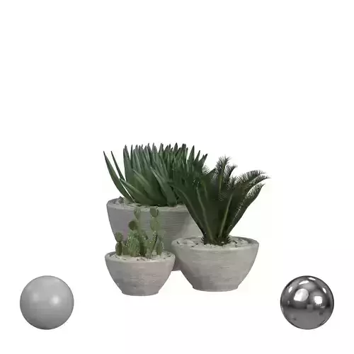 Set Of Modern Plant Pots