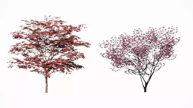 trees 3d 
