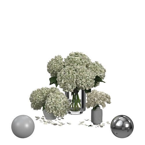 Hydrangea Peonies Vases 3D model