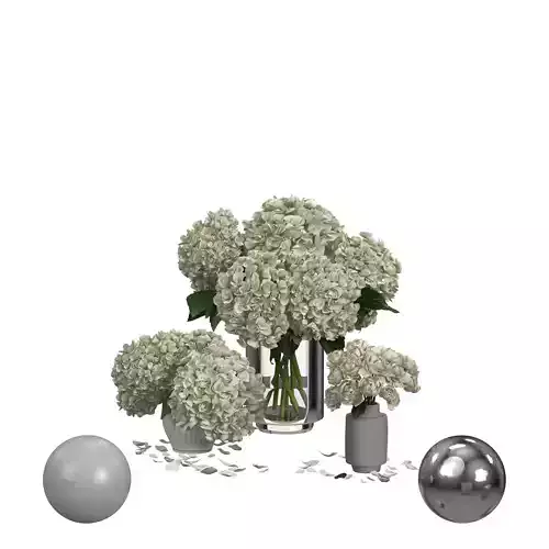 Hydrangea Peonies Vases