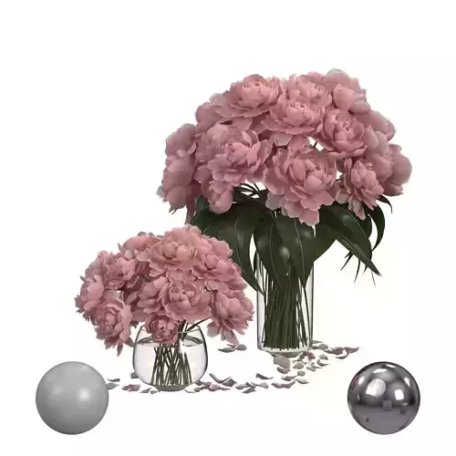 pastel peonies 2 vases