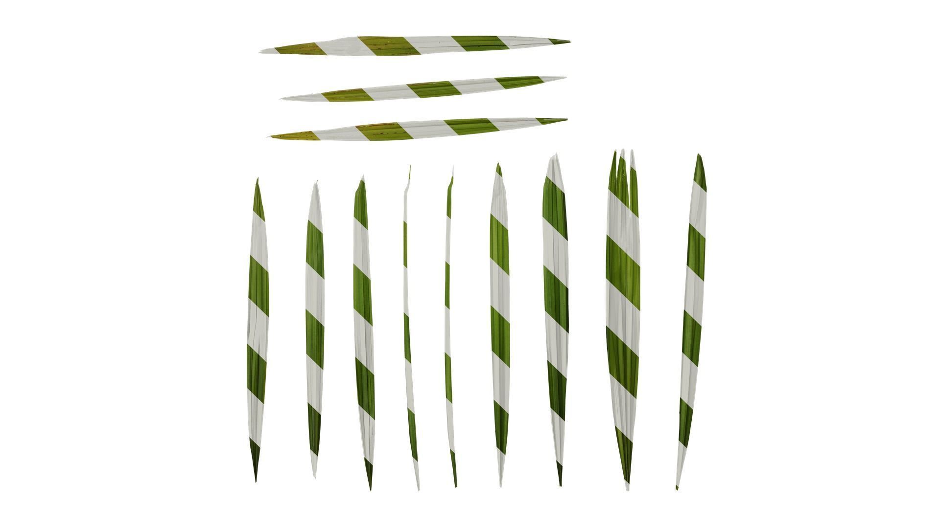 Anydrafts Rhapis excelsa Leaf 07 Texture